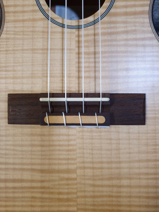 Leho LHUC-FF concert