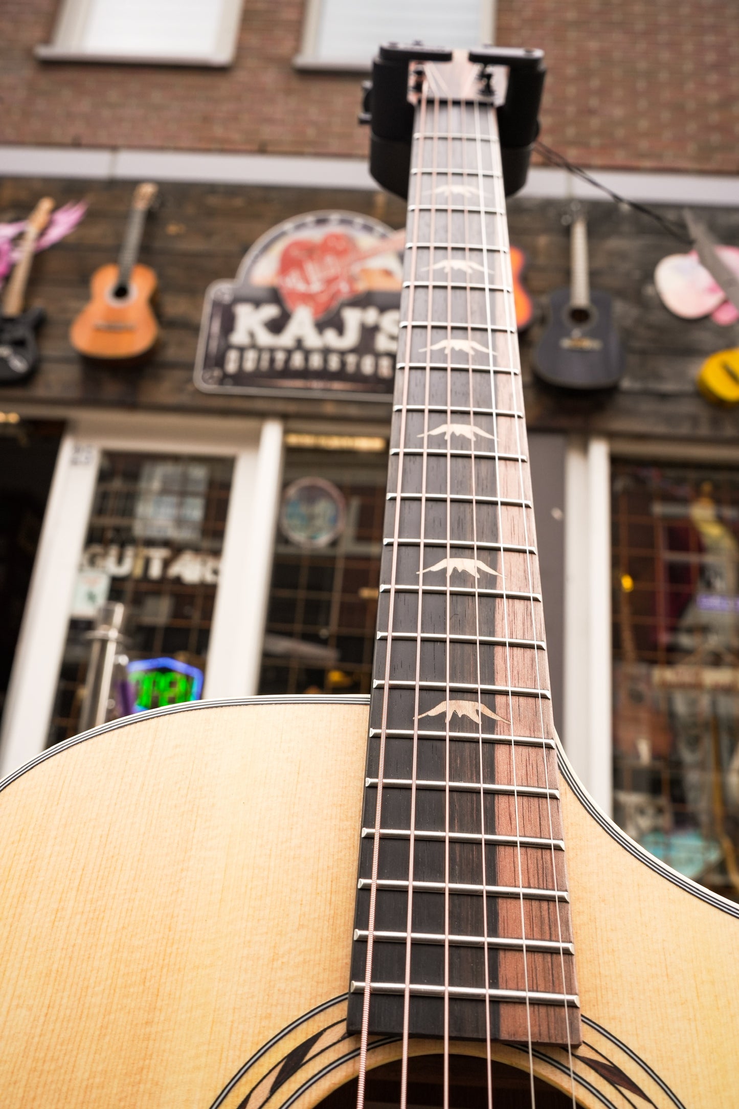 BROMO BAA4C Appalachian Series Hillside auditorium guitar