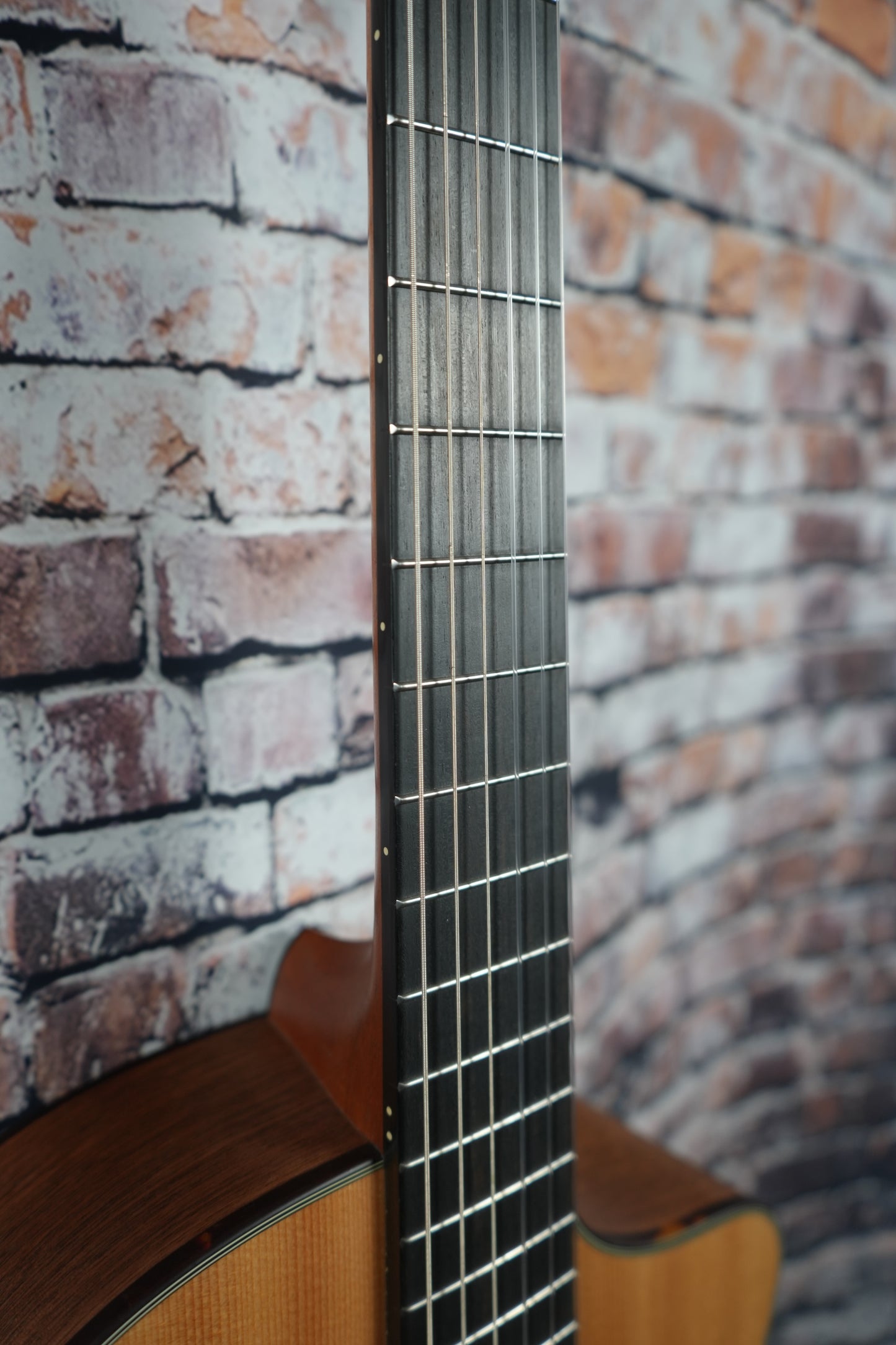 Furch GNC 2-SW a Nylon DEMO