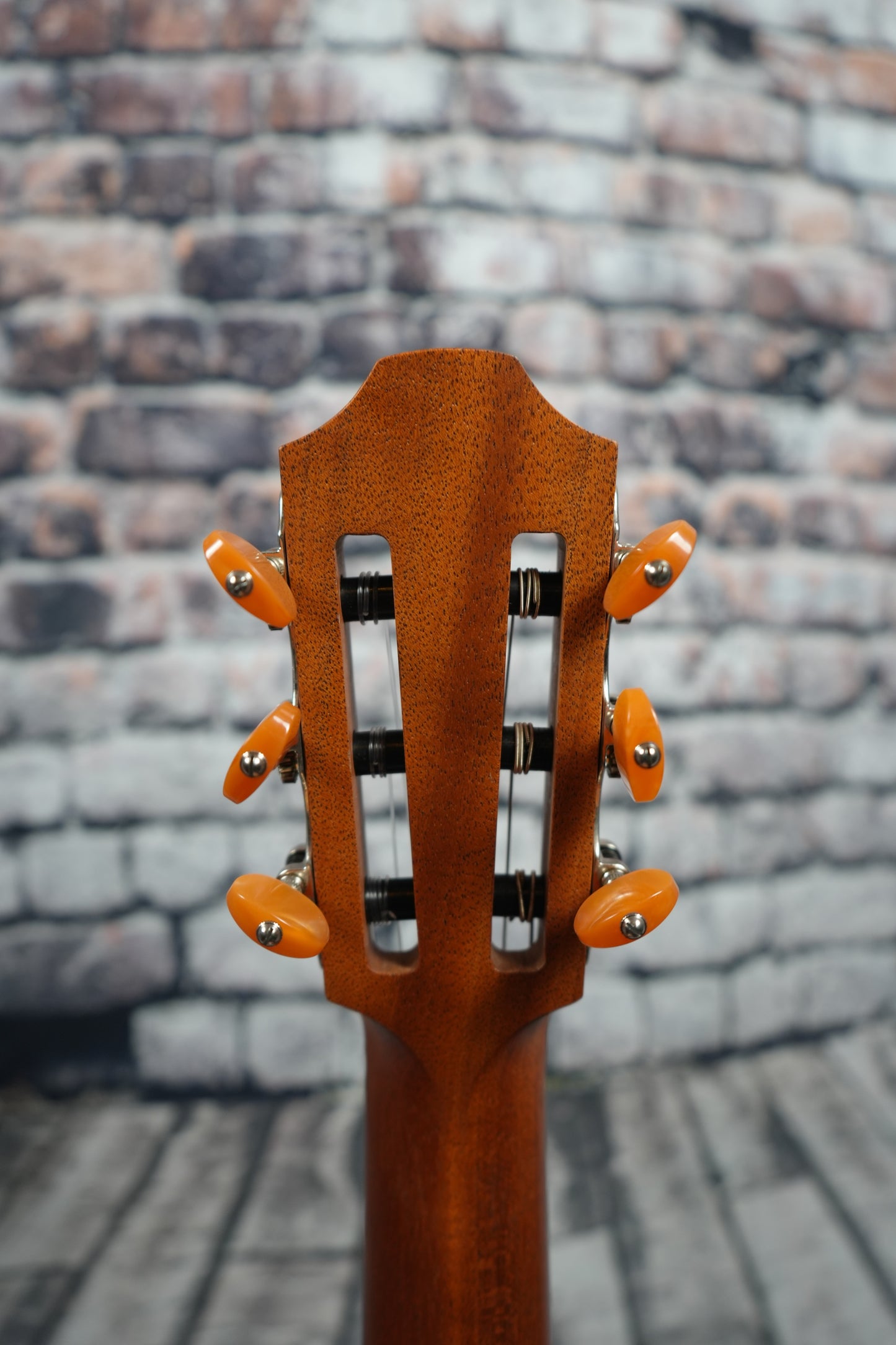 Furch GNC 2-SW a Nylon DEMO