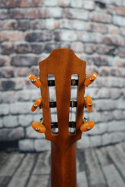 Furch GNC 2-SW a Nylon DEMO