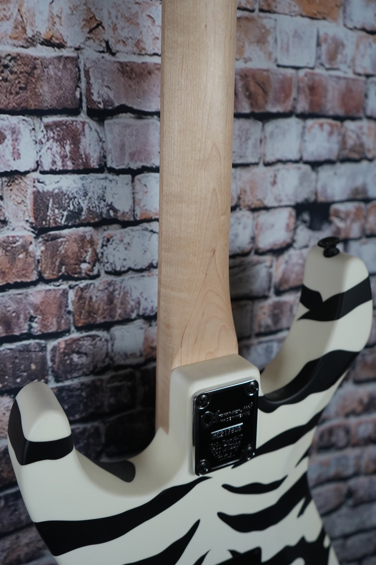 Charvel Satchel Signature Pro-Mod DK22 HH FR M