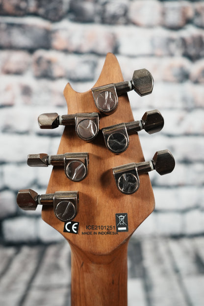 EVH Wolfgang WG Standard Exotic Black Walnut