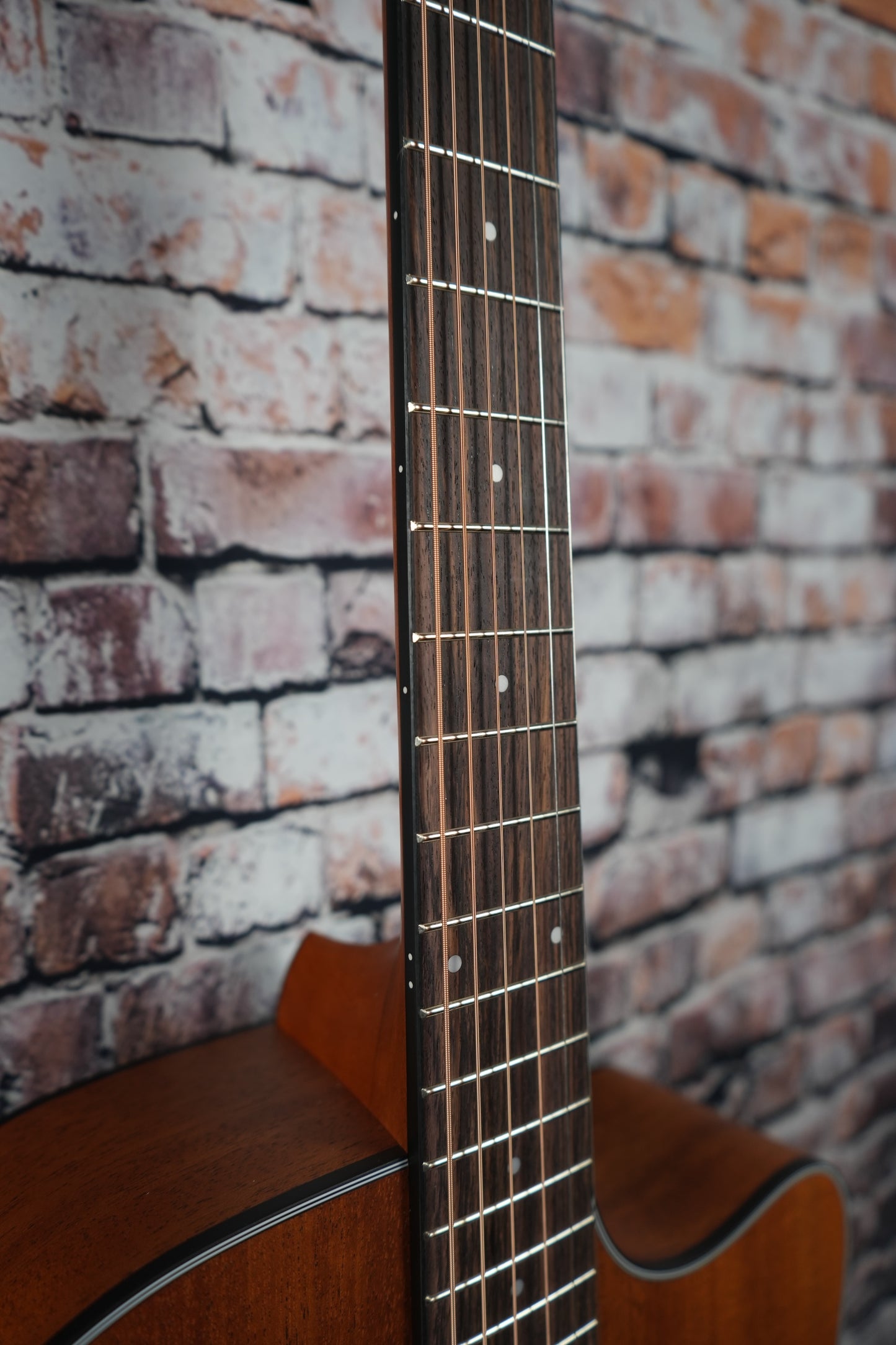 Kepma EDCE Dreadnought Walnut