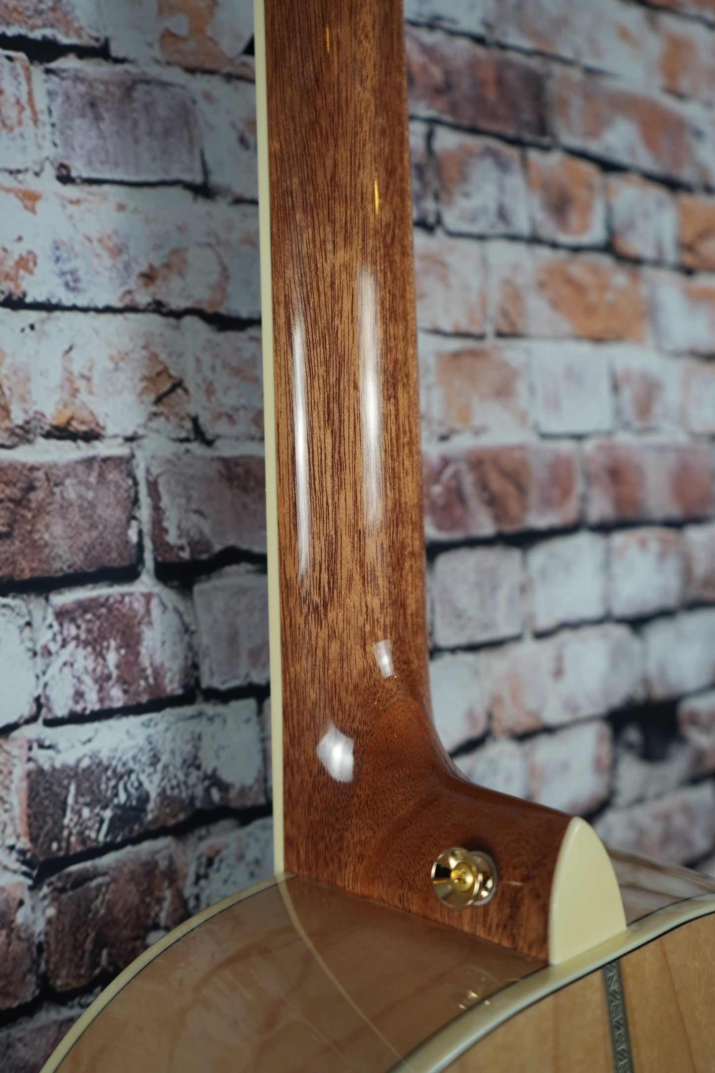 You's Guitars P140E