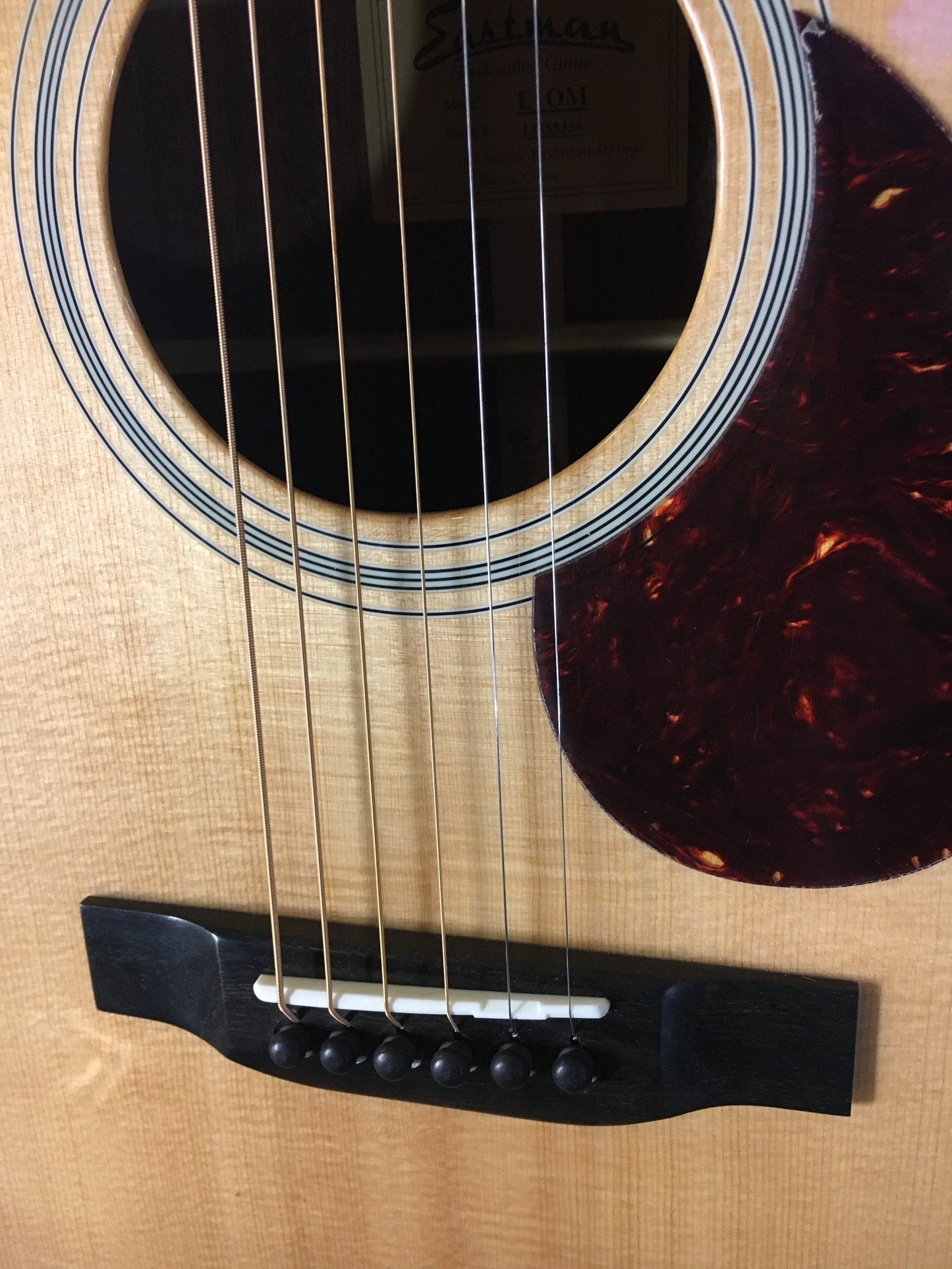 Eastman E1OM Western