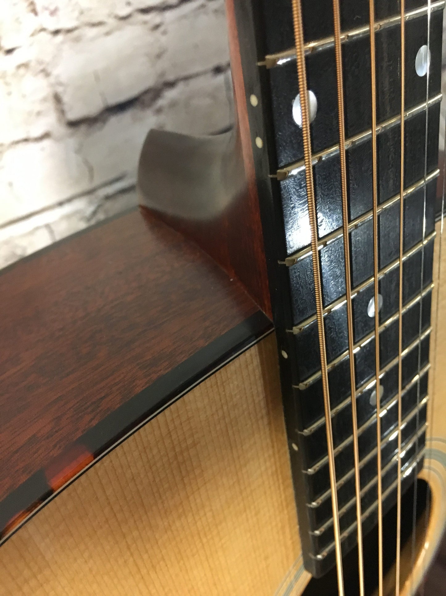 Eastman E1OM Western