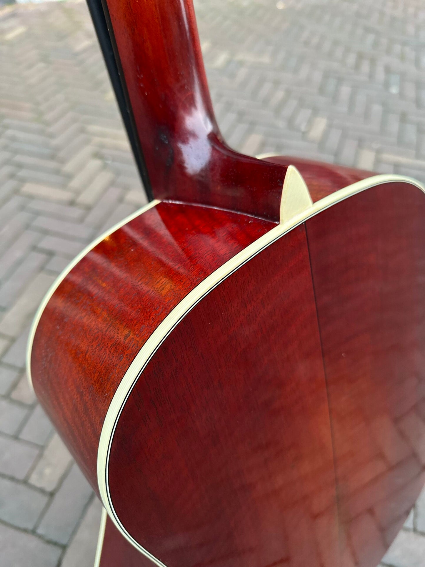 EASTMAN E10SS/V 2025