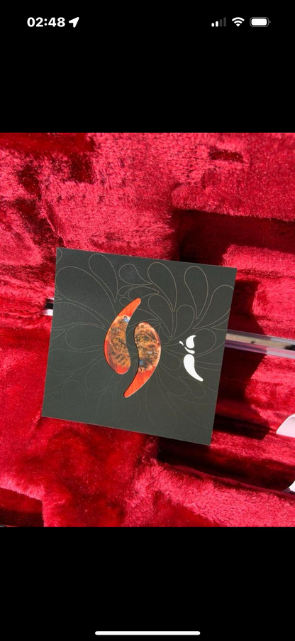 Ibanez PIA3761-XB Onyx Black Steve Vai Signature