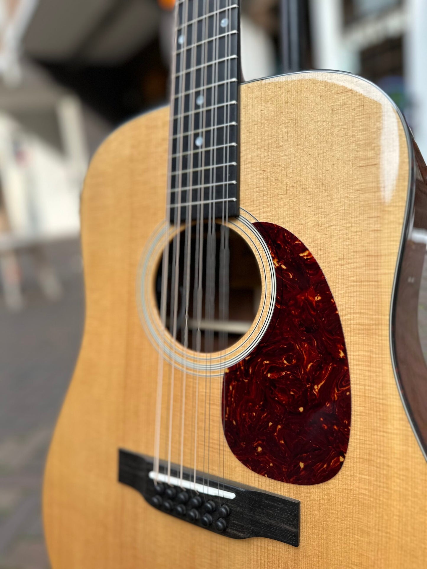 EASTMAN E1D- 12 DLX 12 STRING AC/ELEC