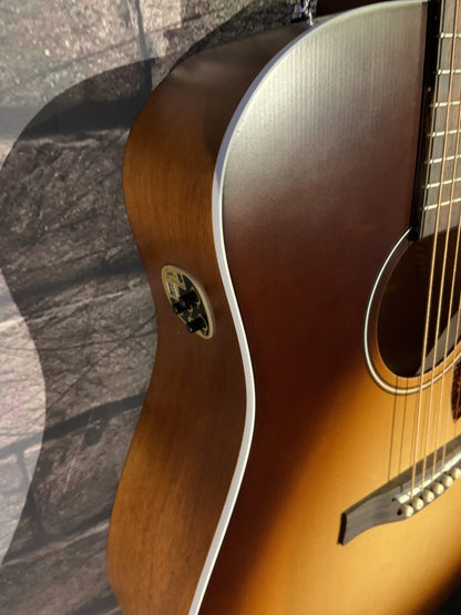 Seagull S6 Entourage AB AC/ELEC