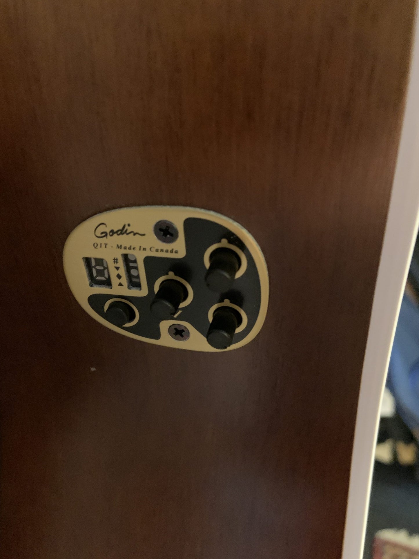 Seagull S6 Entourage AB AC/ELEC