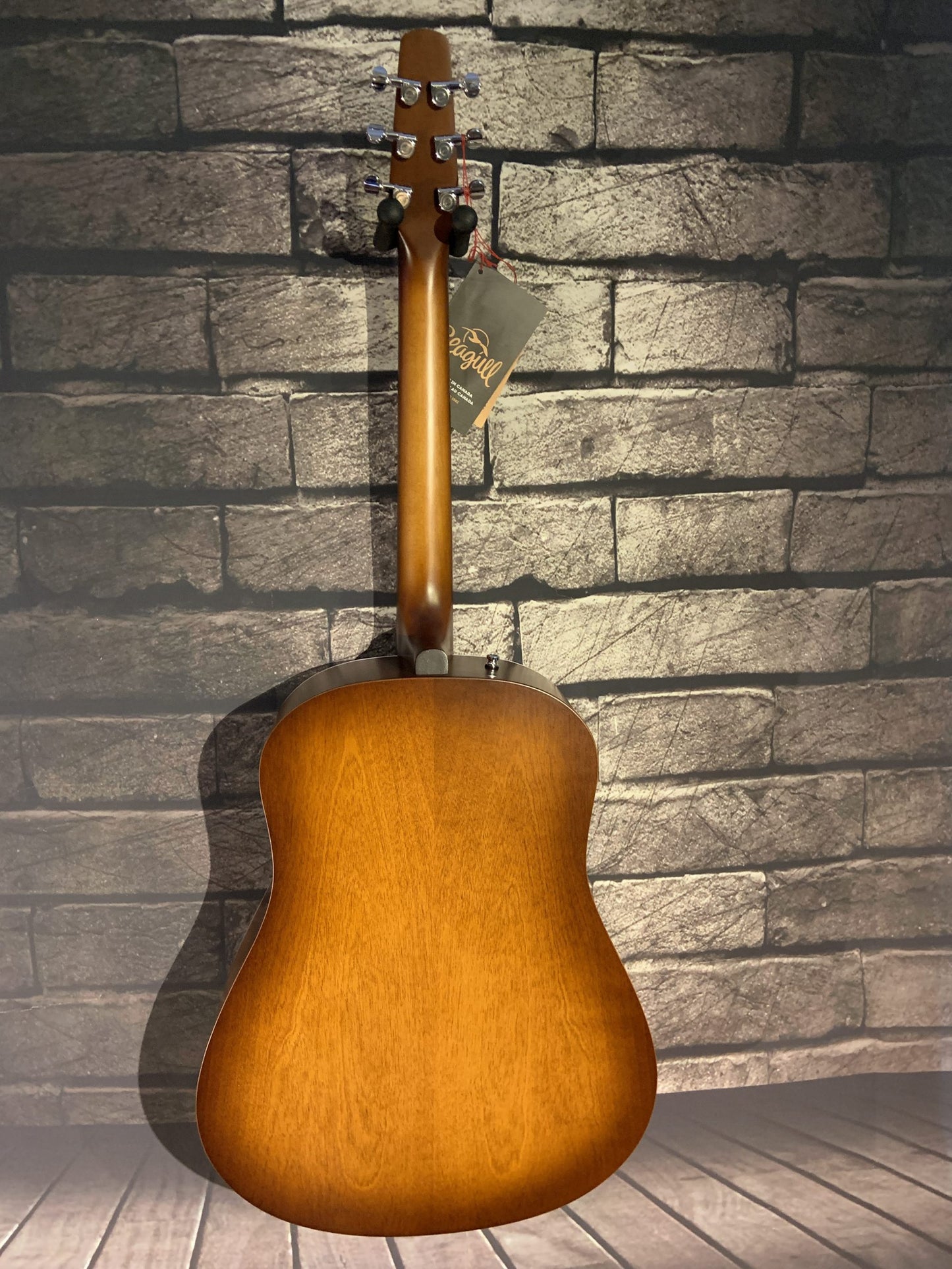 Seagull S6 Entourage AB AC/ELEC