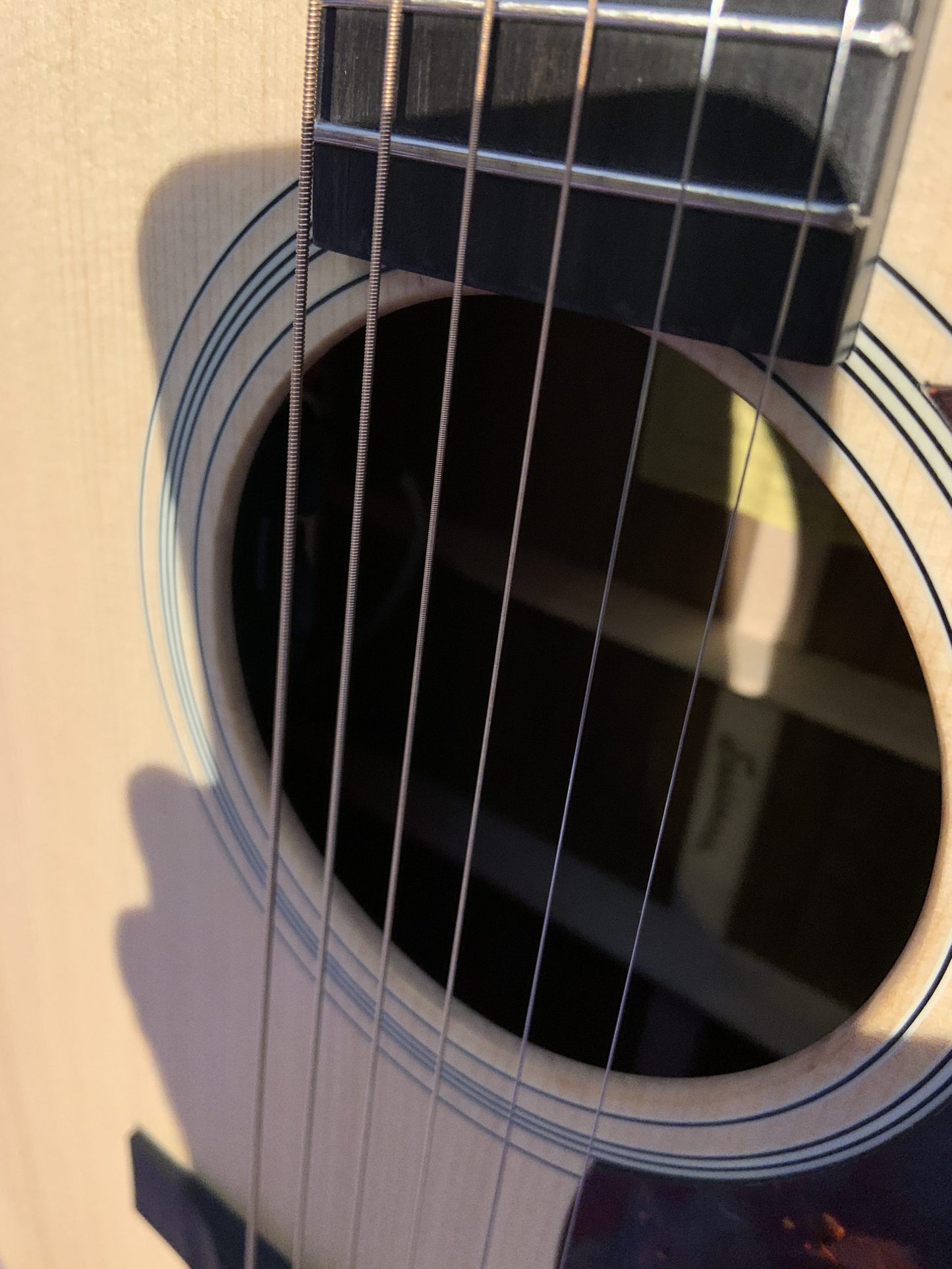 Eastman E3DE AC/ELEC